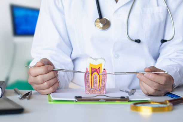 Best Emergency Dental Care for Trauma or Injury in England, AR